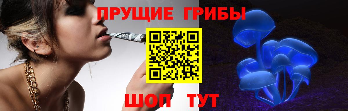 Кострома  Галлюциногенные грибы GOLDEN TEACHER  магазин продажи   Вход с VPN  Псилоцибиновые грибы Cubensis 